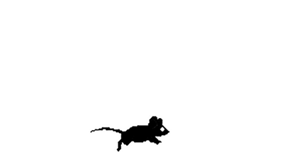 mouse_black_small